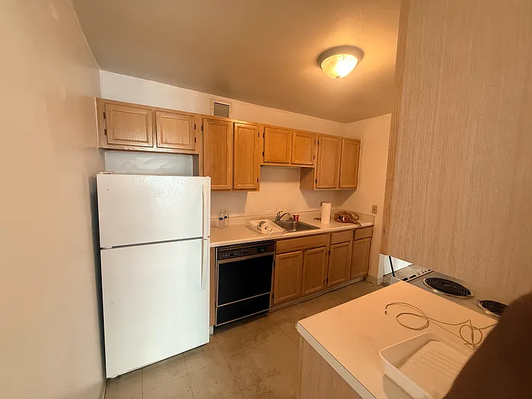 200 N Dearborn St #1503 — Photo 5