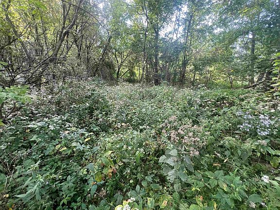 2nd image of 20.12 Acres Hwy #33