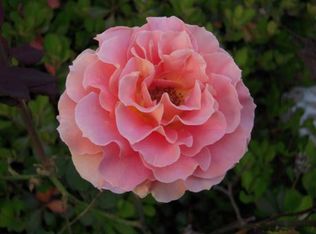 4060 Mantle Ridge Dr, Cumming, GA 30041