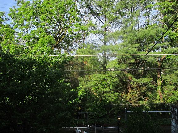 View from back porch