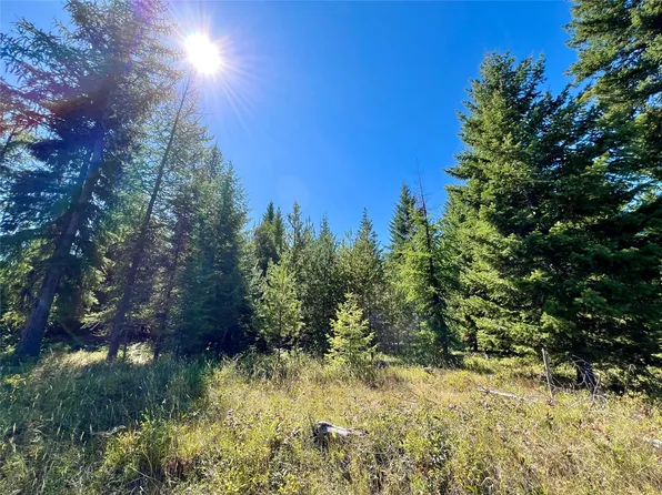 Nhn Sapphire Ln E Lot 3, Trout Creek, MT 59874