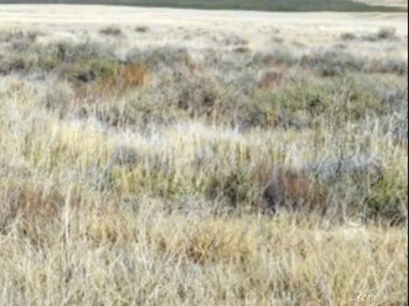 T31n R49e Sec31 Ne4sw4, Crescent Valley, NV 89821