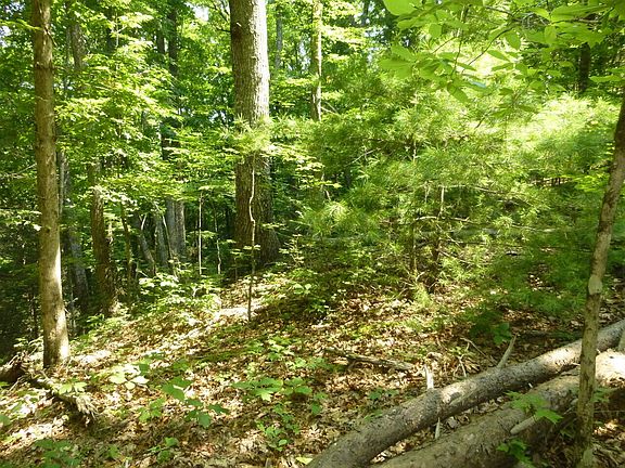 4th image of 13 Singing Bird Way Lot 13B