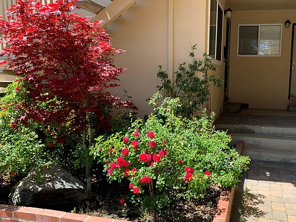 2nd image of 698 N Santa Cruz Ave #26