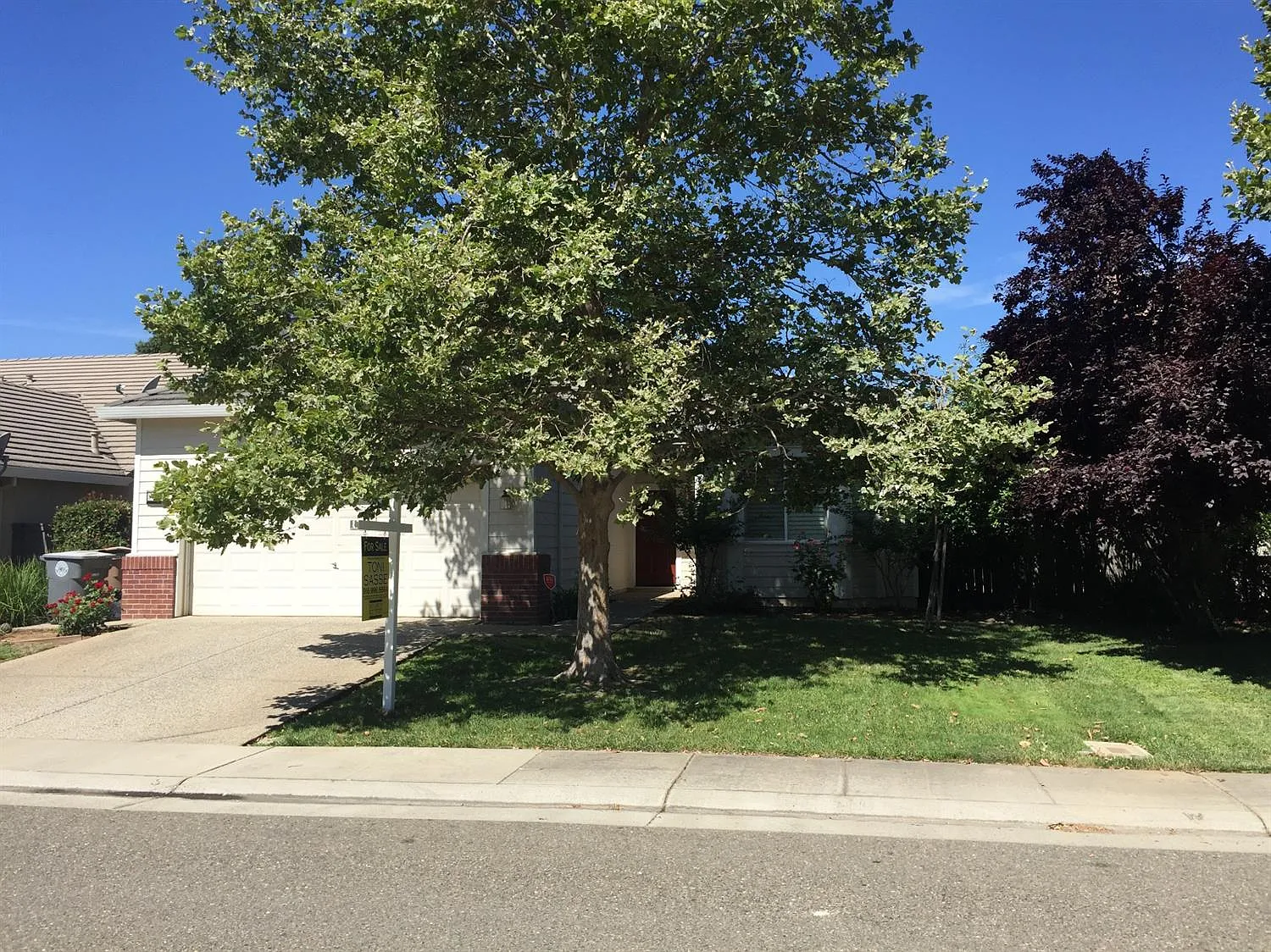 9688 Darley Way photo 1