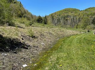 3841 E Orange Rd, Washington, VT 05086