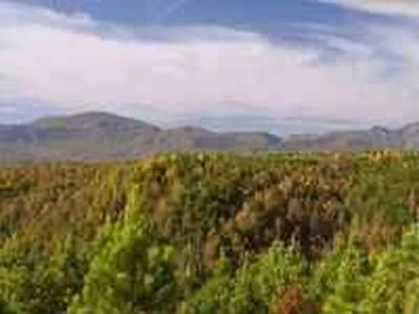 3905 S Wilson Hill Rd, Mill Spring, NC 28756