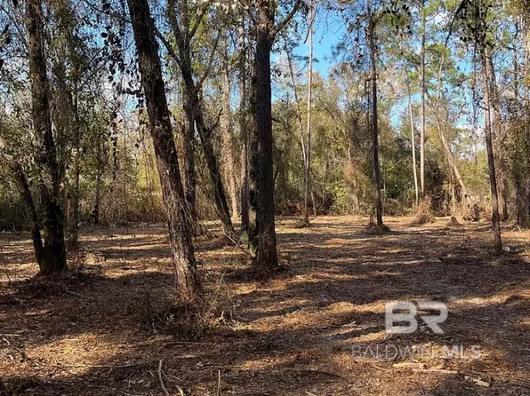 32761 Seminole Rd W #10, Seminole, AL 36574