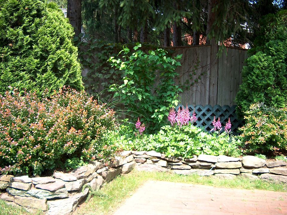 Back Patio