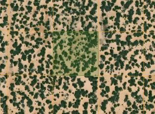 0 Us Hwy 191 LOT 172, Saint Johns, AZ 85936