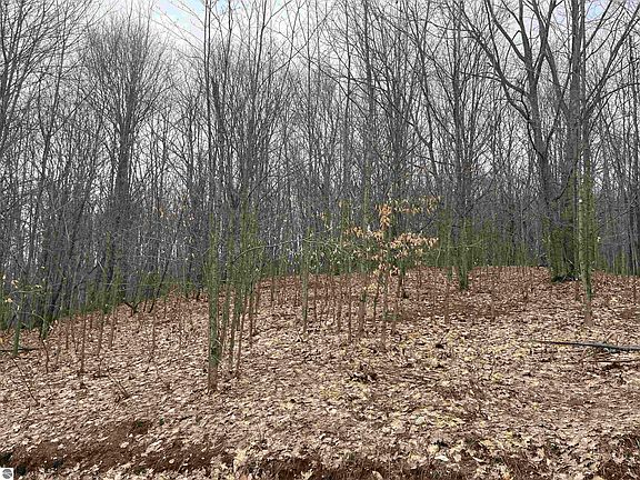 3rd image of Deerfield Trl