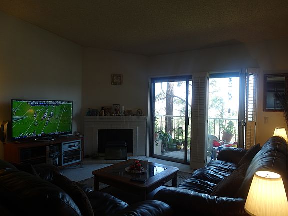 Living Room - Vaulted Ceilin
