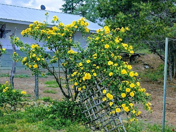 4th image of 24593 Timothy Road