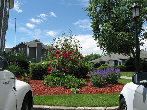 3rd image of 45 Village Grn