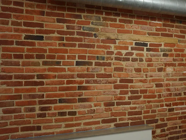 1520 Hollins St #3 — Photo 16