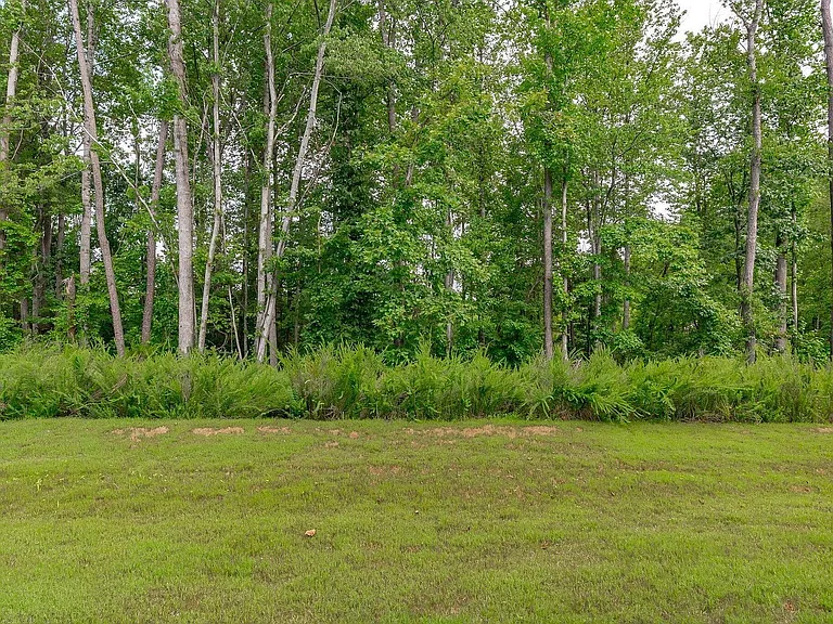 223 Aster Bloom Ln #126 — Photo 47