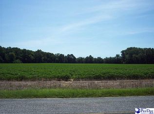 Bethel Rd, Latta, SC 29565