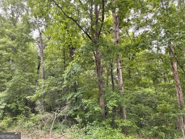 0 Napier Dr, Eatonton, GA 31024