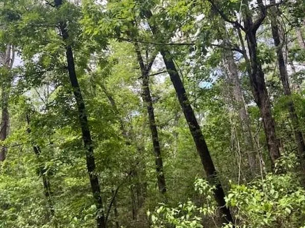24 County Road 497, Etoile, TX 75944