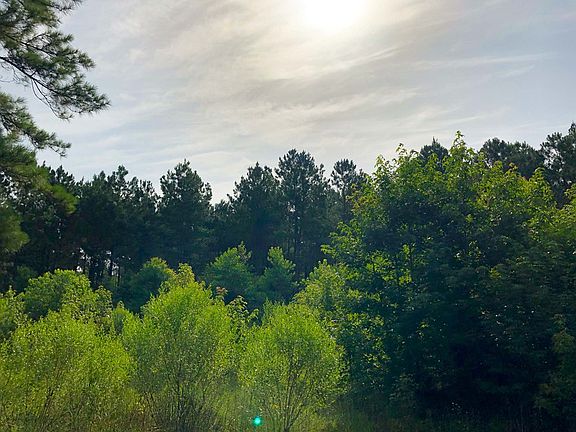 4th image of 2090 County Road 3200