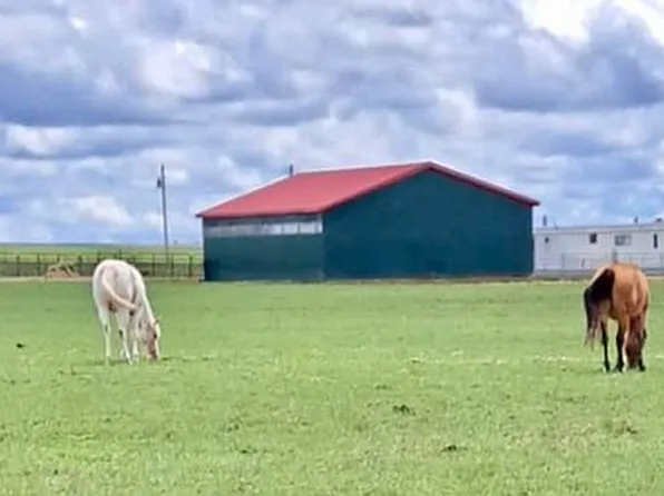 1851 Goulding Creek Rd, Broadview, MT 59015