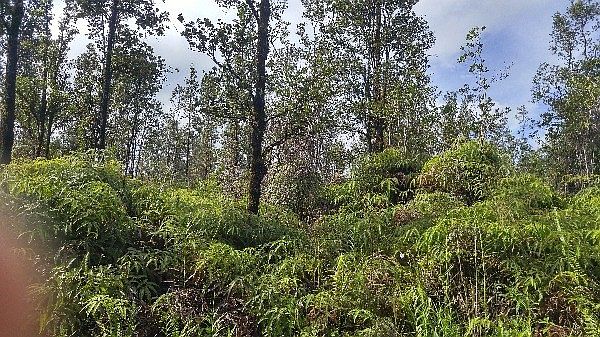 1st image of Road 3 Hopue Lot 3110