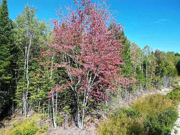 4th image of Lot 14 Whitetail Way