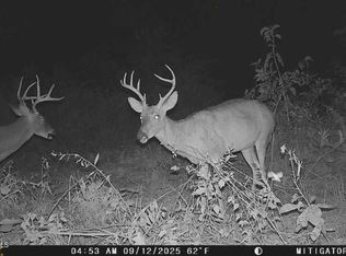 4718 Oak Forest Rd, Bland, MO 65014