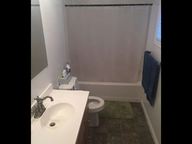 201 E Julie Anna Dr — Photo 2