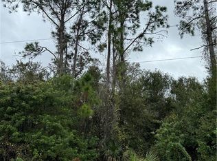 904 Sheldon AVE, LEHIGH ACRES, FL 33936