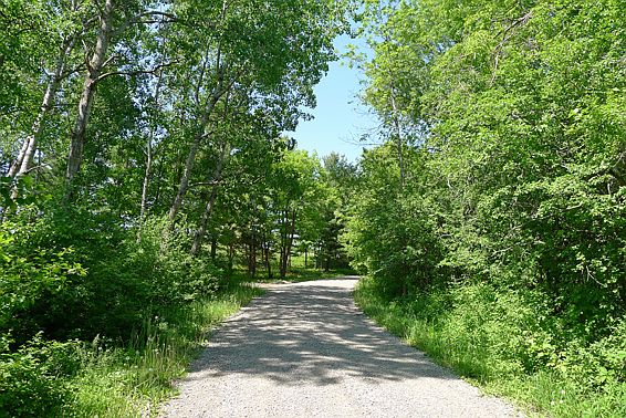 1st image of 1500 Tamarack Dr