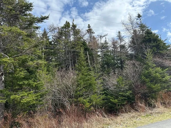 198-220 Dock Ridge Road, Avondale, NL A0A1B0
