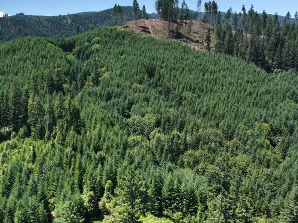 W Brush Creek Rd, Sweet Home, OR 97386