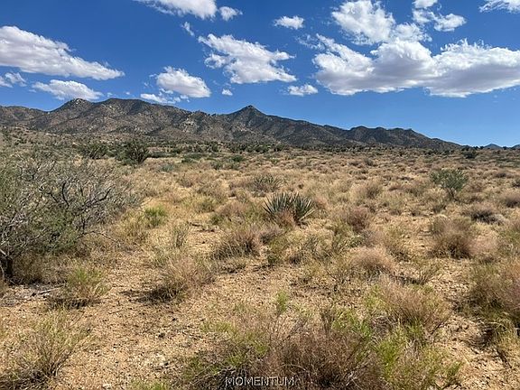 4th image of 313-57-019 N. Canyon Road