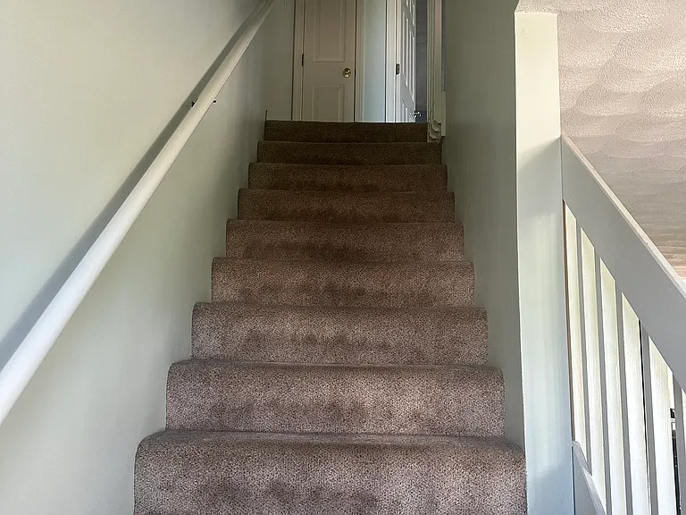 50 Sunflower Cir — Photo 7