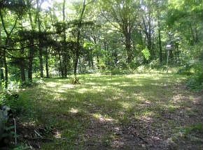 2nd image of 8065 Coyote Dr
