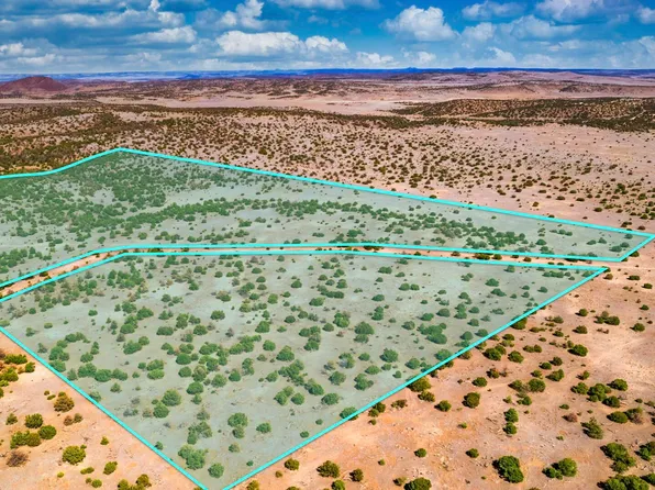 E Red Hill Dr, Quemado, NM 87829