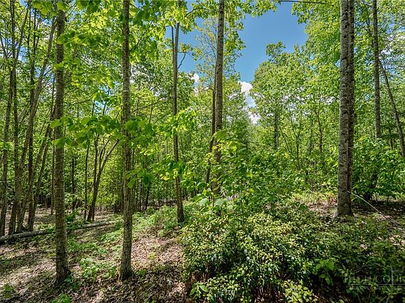 2nd image of 0 Beaver Dam Road