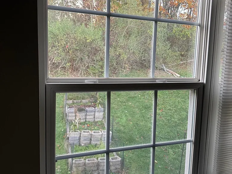 View from the Bedroom