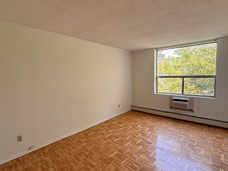 431 Daly Ave #203 — Photo 5