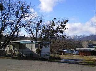 2nd image of 1507 Sandpiper Ct