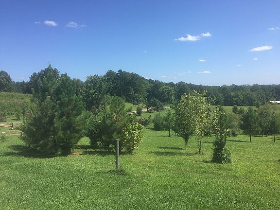 Another view of front 3 acre