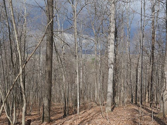 4th image of Chestnut Tower Ln