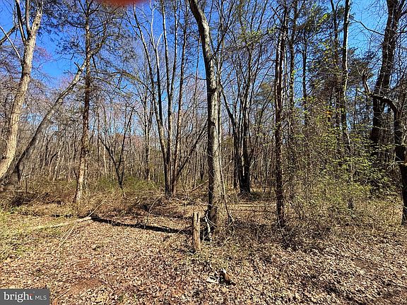 5th image of 15017 Lee Hwy