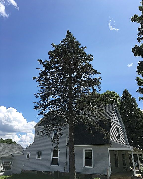 2nd image of 00 Paine Ave