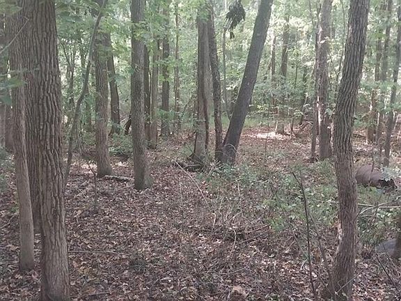 5th image of 0 Duncan Ln