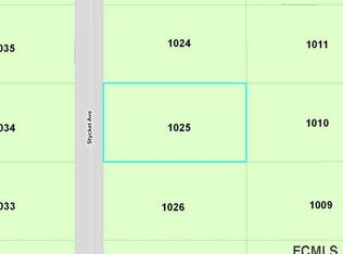 10310 Stycket Ave, Hastings, FL 32145