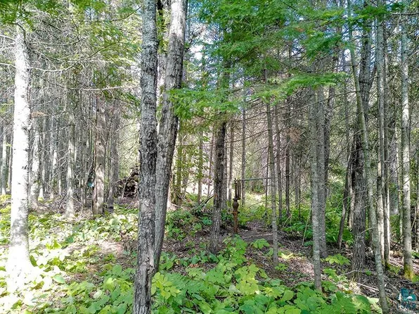 435 Cramer Rd, Schroeder, MN 55614