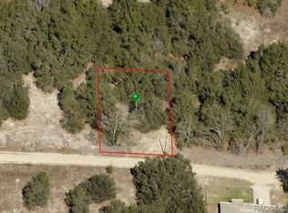 2504 Wilson St, Inverness, FL 34453