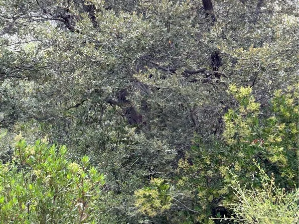 0 Julian Estates Rd #4, Julian, CA 92036